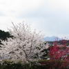 奈良人の心の山