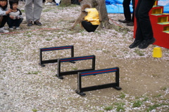DSC00298