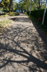 DSC00425