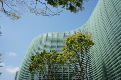 DSC00491
