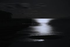 月の光。。
