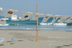 Tシャツアート展