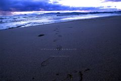 立春の海。。