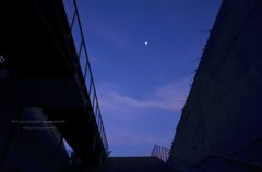 碧の世界。。