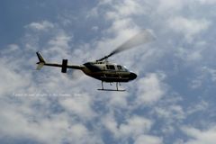 宇和れんげまつり。。