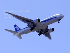 ANA。。
