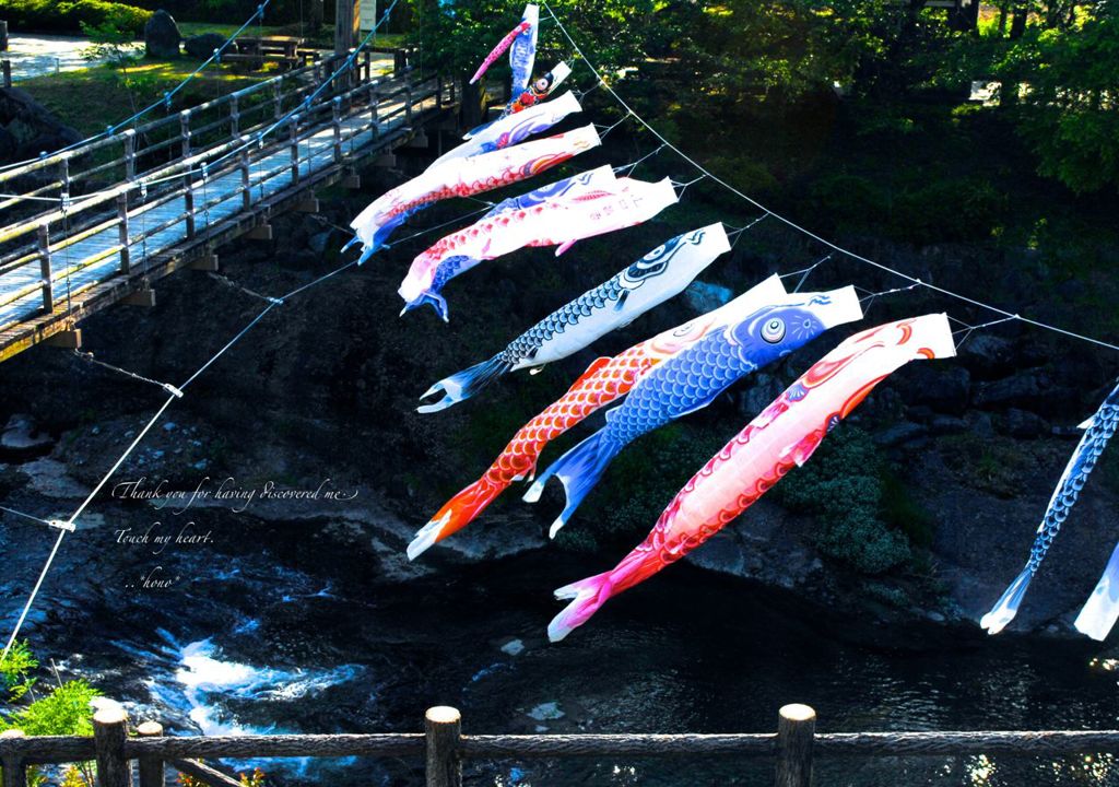 ごがついつかの。。