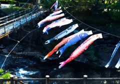 ごがついつかの。。