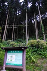 泉谷棚田