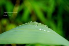 梅雨っぽい。。