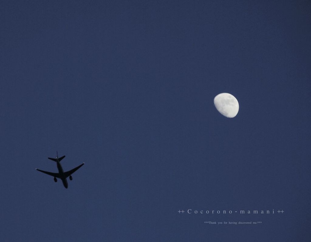 おつきさまと。。