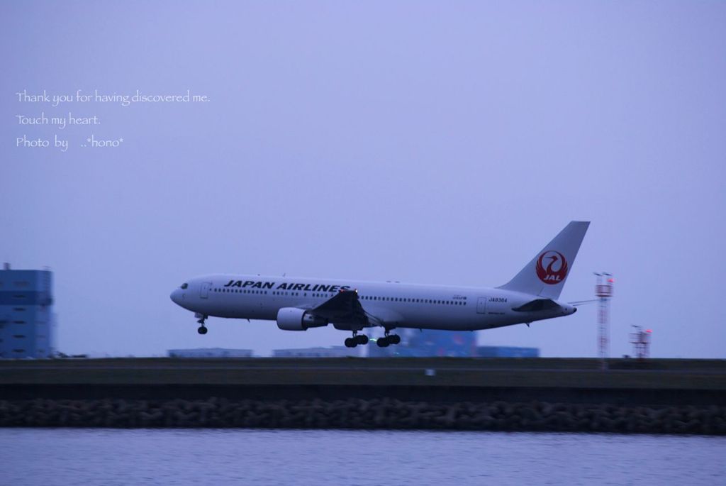 ランディング。。