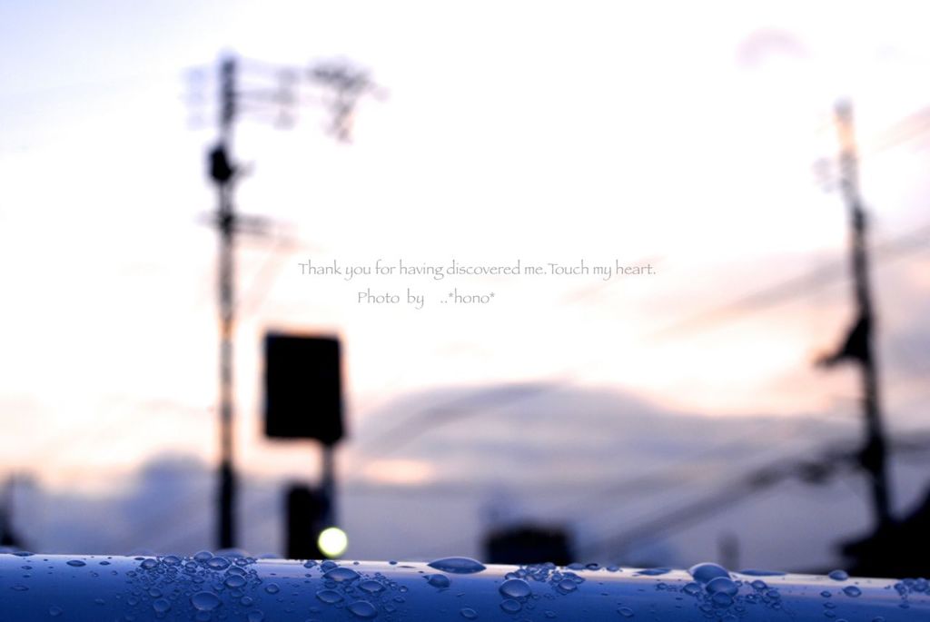 あめあがり。。