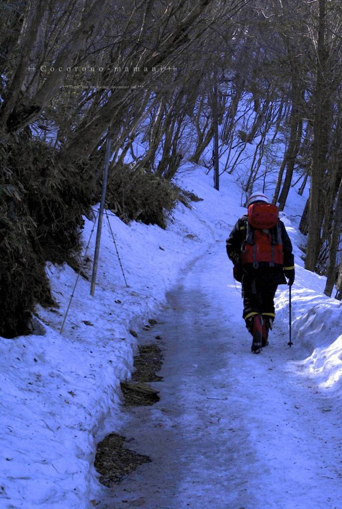 ポストマン。。