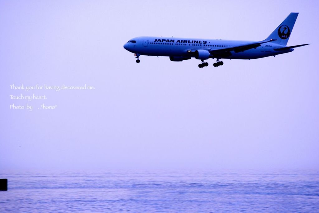 ランディング。。