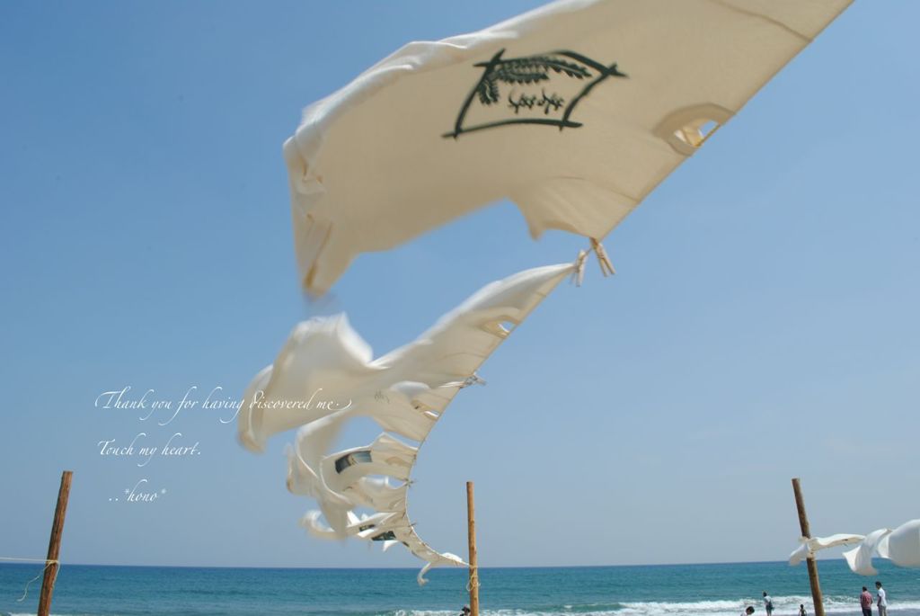 Tシャツアート展