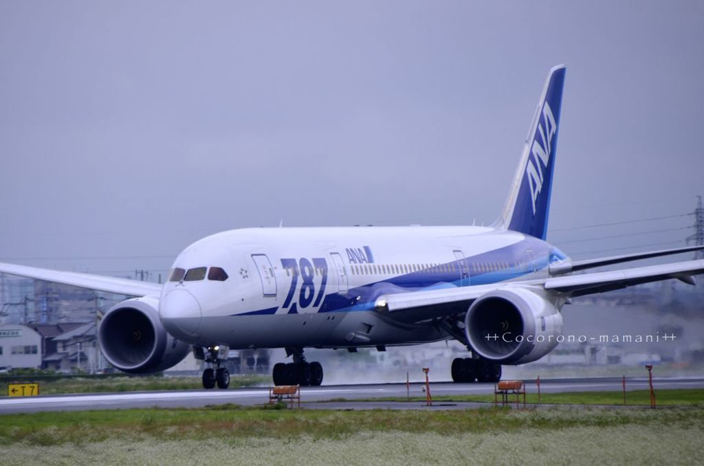 ＠雨の松山空港。。