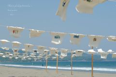 Tシャツアート展