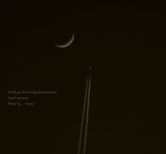 つれてって。。