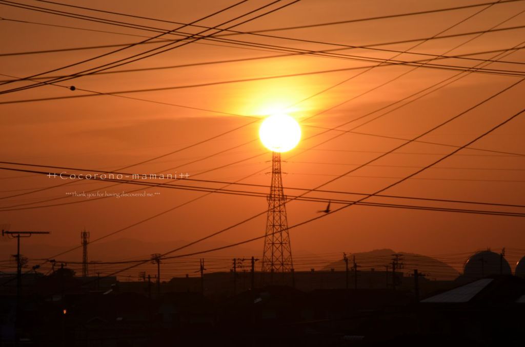 夕陽。。