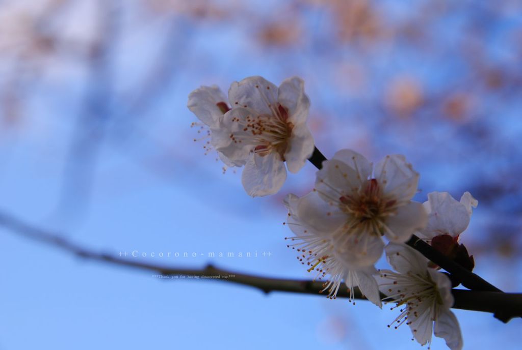 あしおと。。