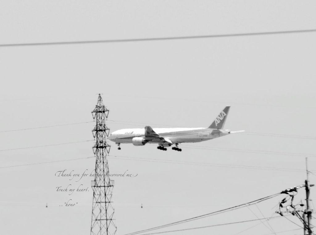 飛行機な風景。。