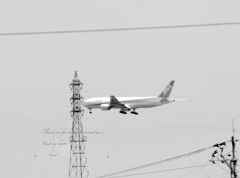 飛行機な風景。。