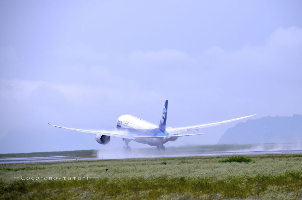 ＠雨の松山空港。。