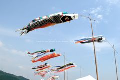 宇和れんげまつり。。