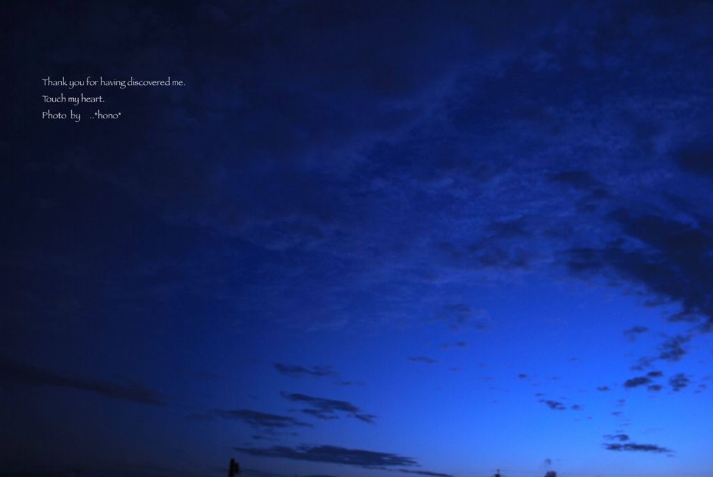 あめあがりに。。