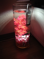 花瓶水槽
