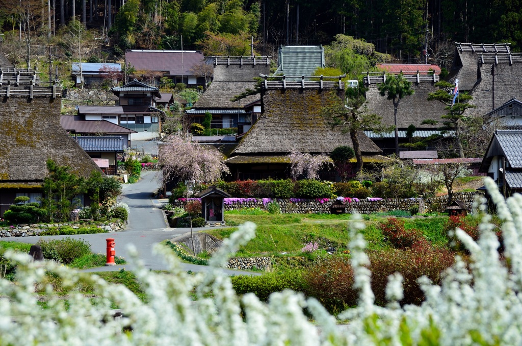 美山町かやぶきの里
