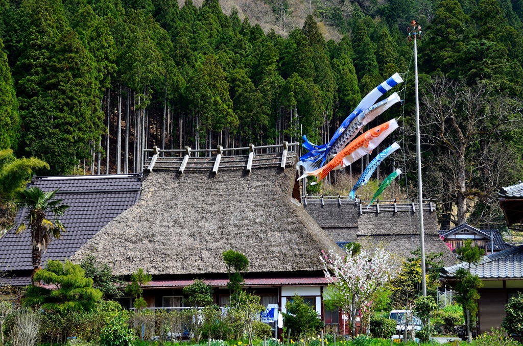 美山町かやぶきの里