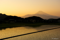 田園夕景