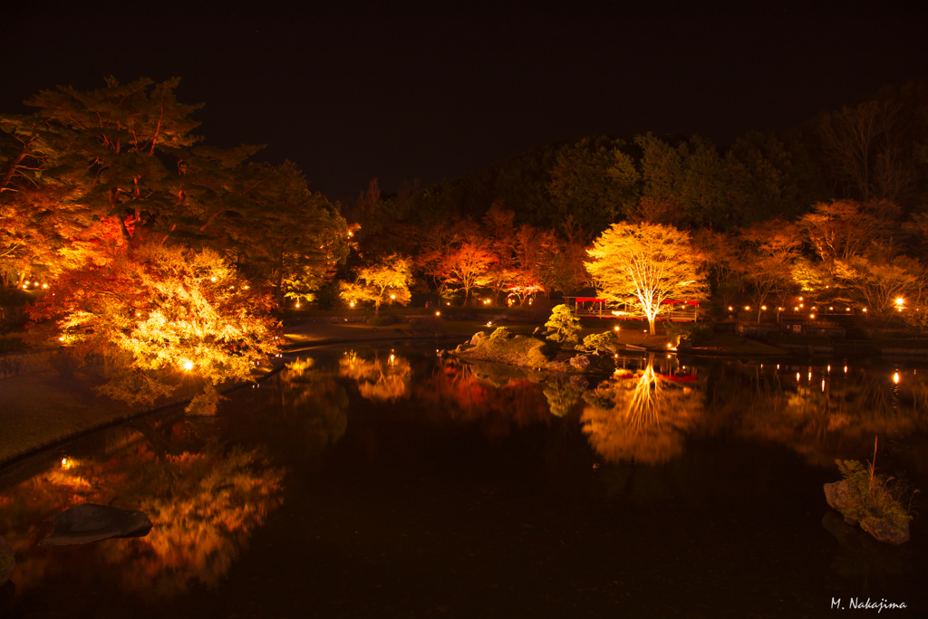 紅葉夜景