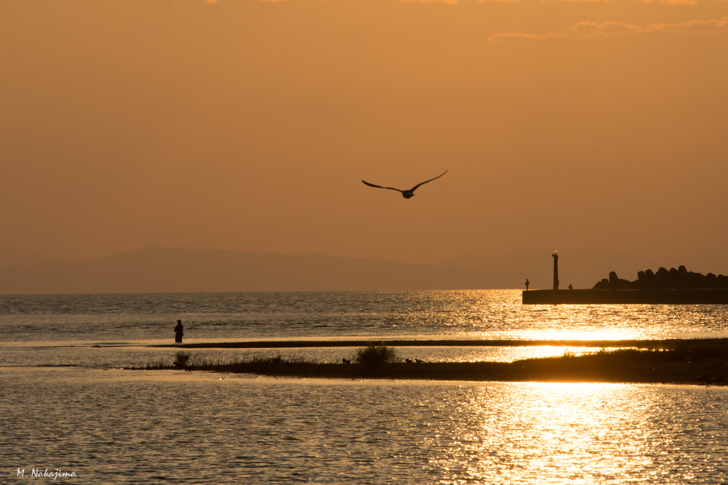 夕景