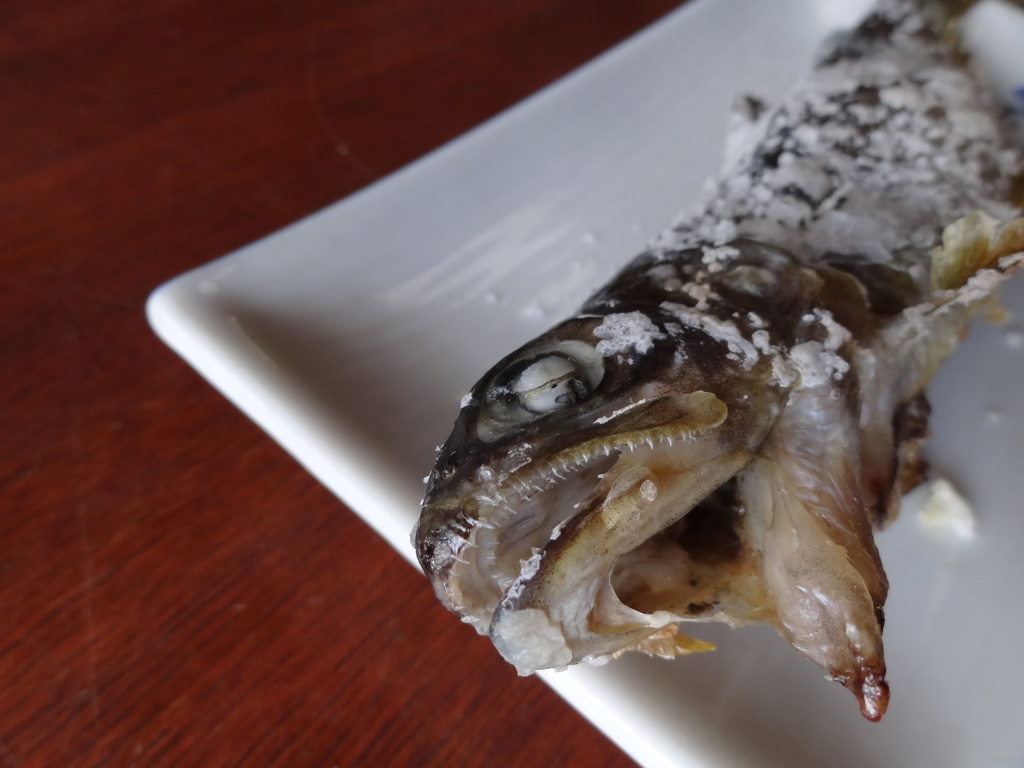 魚