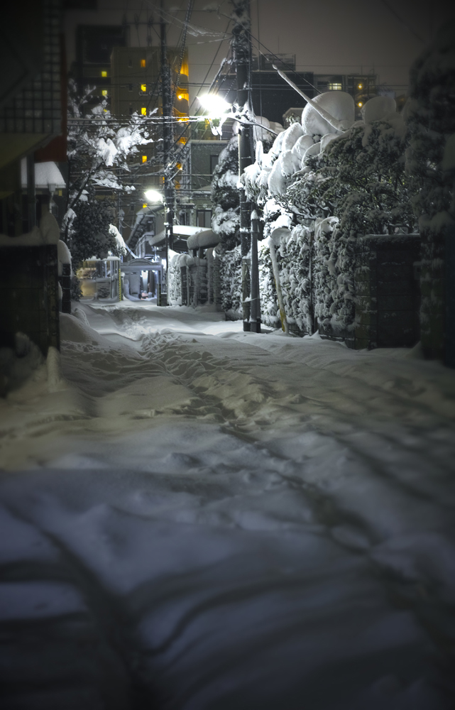 雪