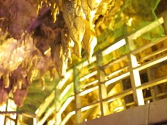 P2029729