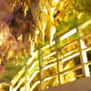 P2029729