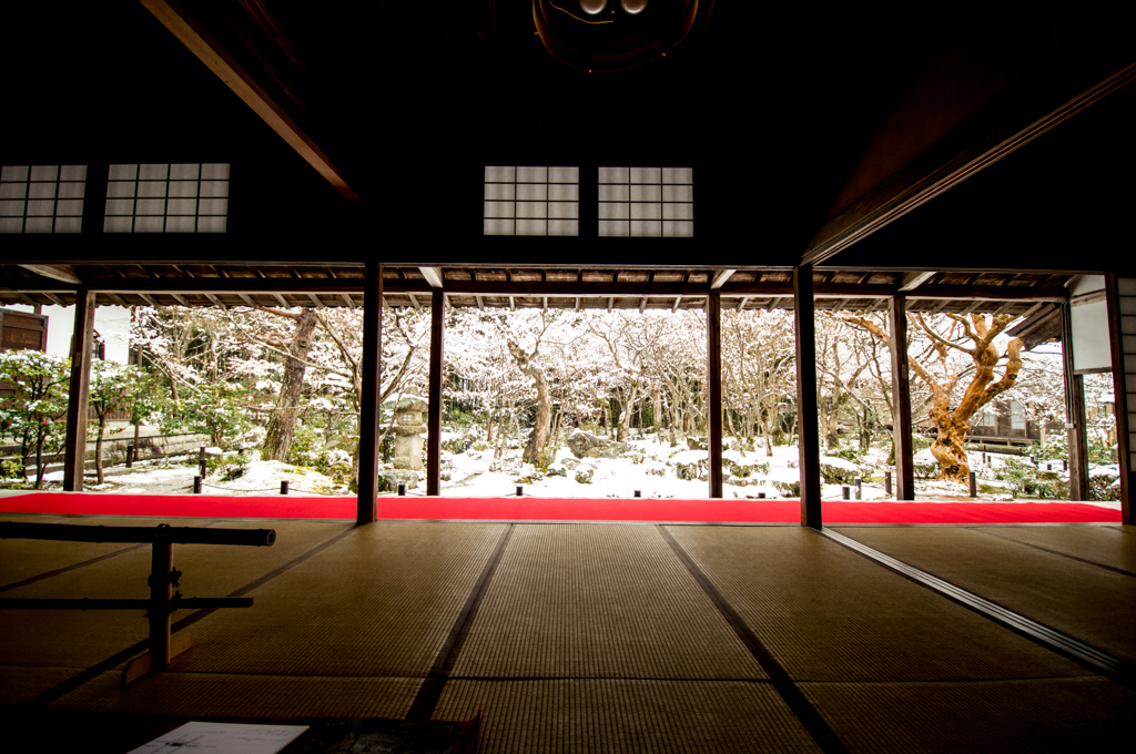 京都　洛北