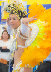 静岡サンバカーニバル　2019