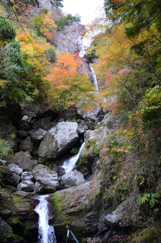 紅葉（大荒の滝Ⅱ）