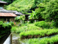 ほっとする風景