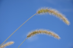 空澄み渡る