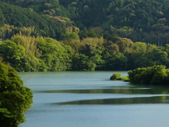 新緑の物部川