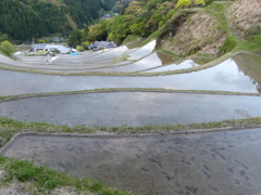 棚田