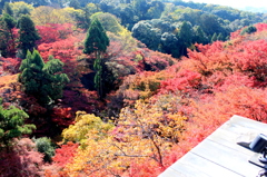 清水の舞台