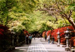 日本風景