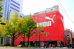 PUMA